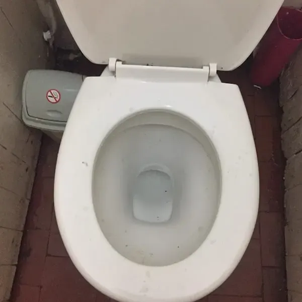 A white toilet bowl with the seat up in a bathroom with brick flooring, related to blocked toilet and sink repairs by Drain Medics.