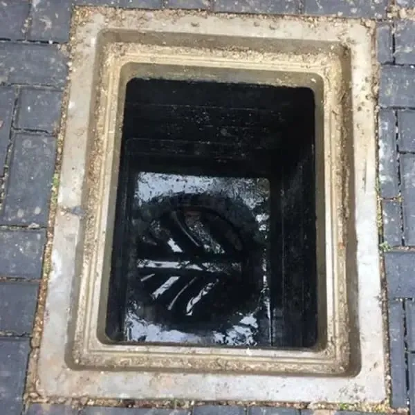 Drain Pest Control by Drain Medics